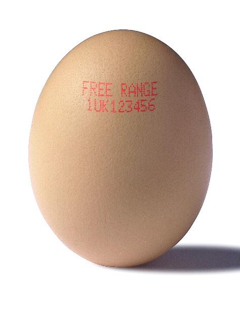 华驰喷码机为您解答，鸡蛋上的油墨喷码标记对健康有影响吗？(图2)